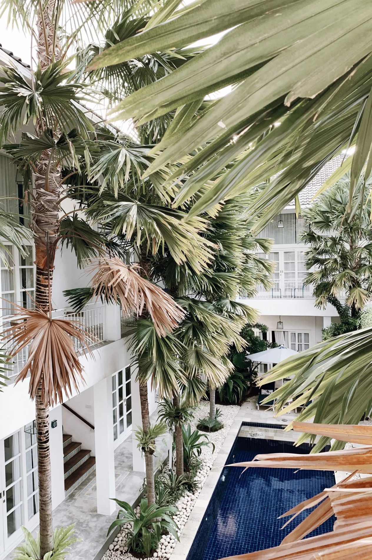 Sunlit palms beside a pool at a tropical retreat